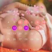 ヒメ日記 2025/12/22 21:52 投稿 悠木美那 ハールブルク