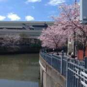 ヒメ日記 2025/03/28 11:41 投稿 あいら 虹色メロンパイ 横浜店