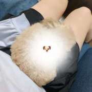 ヒメ日記 2025/04/06 21:30 投稿 あいら 虹色メロンパイ 横浜店