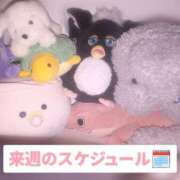 あいら シフト📝 虹色メロンパイ 横浜店