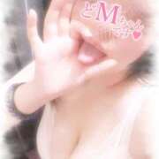 ヒメ日記 2025/11/04 17:05 投稿 みおん 栃木宇都宮ちゃんこ