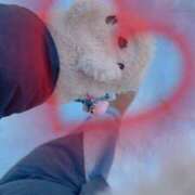 ヒメ日記 2024/12/27 17:19 投稿 りおな 大阪和泉ちゃんこ