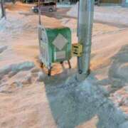 りおな おはようございます！ 大阪和泉ちゃんこ