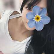 ヒメ日記 2025/06/25 10:32 投稿 犬飼凪沙 AJ DOLLS(エージェイドールズ)