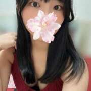 ヒメ日記 2025/07/26 10:52 投稿 犬飼凪沙 AJ DOLLS(エージェイドールズ)