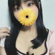 ヒメ日記 2025/08/24 10:12 投稿 犬飼凪沙 AJ DOLLS(エージェイドールズ)