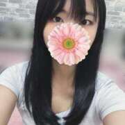 ヒメ日記 2025/08/27 11:22 投稿 犬飼凪沙 AJ DOLLS(エージェイドールズ)