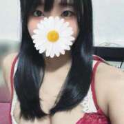 ヒメ日記 2025/08/30 10:52 投稿 犬飼凪沙 AJ DOLLS(エージェイドールズ)