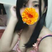 ヒメ日記 2025/09/24 10:33 投稿 犬飼凪沙 AJ DOLLS(エージェイドールズ)