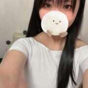 犬飼凪沙 2月最終日… AJ DOLLS(エージェイドールズ)