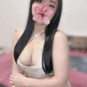 ヒメ日記 2026/03/15 20:12 投稿 犬飼凪沙 AJ DOLLS(エージェイドールズ)