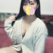 ヒメ日記 2026/04/04 10:02 投稿 犬飼凪沙 AJ DOLLS(エージェイドールズ)