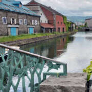 ヒメ日記 2025/06/08 06:35 投稿 けいこ バイオレンス