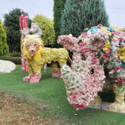 ヒメ日記 2025/10/15 19:35 投稿 けいこ バイオレンス