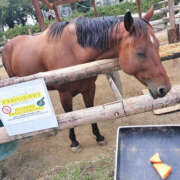 ヒメ日記 2026/01/01 06:35 投稿 けいこ バイオレンス