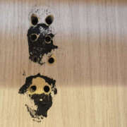 ヒメ日記 2026/01/02 21:55 投稿 けいこ バイオレンス