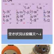 ヒメ日記 2026/04/04 08:35 投稿 けいこ バイオレンス