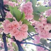 ヒメ日記 2026/04/18 16:45 投稿 けいこ バイオレンス