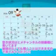 ヒメ日記 2026/09/22 08:15 投稿 けいこ バイオレンス