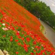 ヒメ日記 2025/05/17 16:17 投稿 こなつ 完熟ばなな 立川