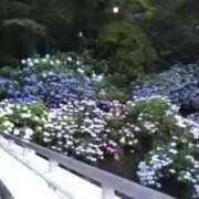 ヒメ日記 2025/06/10 20:17 投稿 こなつ 完熟ばなな 立川