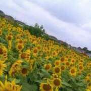 ヒメ日記 2025/07/28 18:27 投稿 こなつ 完熟ばなな 立川