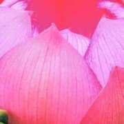 ヒメ日記 2025/07/30 18:27 投稿 こなつ 完熟ばなな 立川