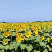 ヒメ日記 2025/08/07 10:48 投稿 こなつ 完熟ばなな 立川