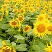 ヒメ日記 2025/08/07 17:27 投稿 こなつ 完熟ばなな 立川