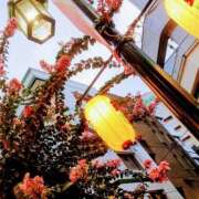 ヒメ日記 2025/08/18 03:17 投稿 こなつ 完熟ばなな 立川