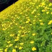 ヒメ日記 2025/08/20 13:27 投稿 こなつ 完熟ばなな 立川