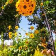 ヒメ日記 2025/08/25 18:37 投稿 こなつ 完熟ばなな 立川