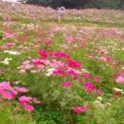 ヒメ日記 2025/09/01 00:17 投稿 こなつ 完熟ばなな 立川