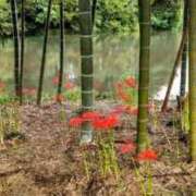 ヒメ日記 2025/09/15 09:12 投稿 こなつ 完熟ばなな 立川