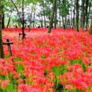 ヒメ日記 2025/09/17 17:57 投稿 こなつ 完熟ばなな 立川