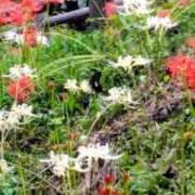 ヒメ日記 2025/09/30 23:57 投稿 こなつ 完熟ばなな 立川