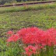 ヒメ日記 2025/10/07 09:12 投稿 こなつ 完熟ばなな 立川