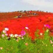 ヒメ日記 2025/10/16 10:30 投稿 こなつ 完熟ばなな 立川