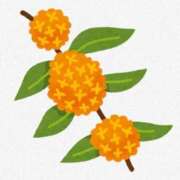 こなつ 金木犀の記憶 完熟ばなな 立川