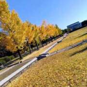 こなつ ぎんなんがたり 完熟ばなな 立川