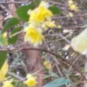 ヒメ日記 2026/01/21 08:15 投稿 こなつ 完熟ばなな 立川