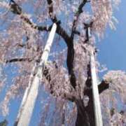 こなつ また会えるかな 完熟ばなな 立川