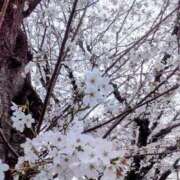 ヒメ日記 2026/04/01 13:17 投稿 こなつ 完熟ばなな 立川