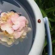 こなつ 雨のち曇のち曇そして雨 完熟ばなな 立川