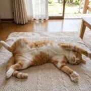 こなつ 猛暑襲来 完熟ばなな 立川