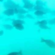 ヒメ日記 2026/07/24 12:47 投稿 こなつ 完熟ばなな 立川