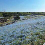 ヒメ日記 2025/05/07 11:05 投稿 及川みこ 彩タマンサ（埼玉ハレ系）