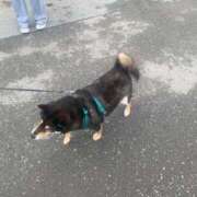 ヒメ日記 2025/04/05 19:44 投稿 あきら Love Life(ラブライフ) 池袋店