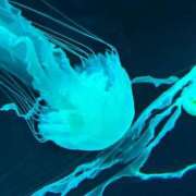 ヒメ日記 2025/04/26 20:35 投稿 あきら Love Life(ラブライフ) 池袋店