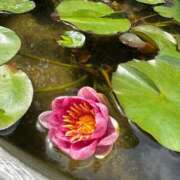 ヒメ日記 2024/12/18 15:24 投稿 なみ Love Life(ラブライフ) 池袋店